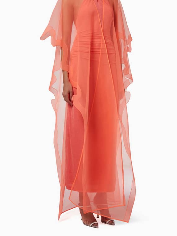 Single Layer Abaya in Crinkled Organza-