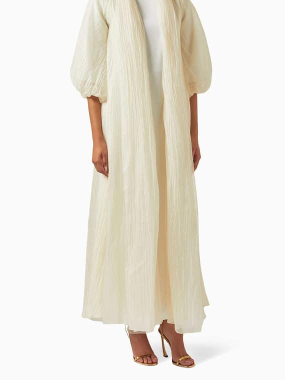 Textured Abaya in Organza-