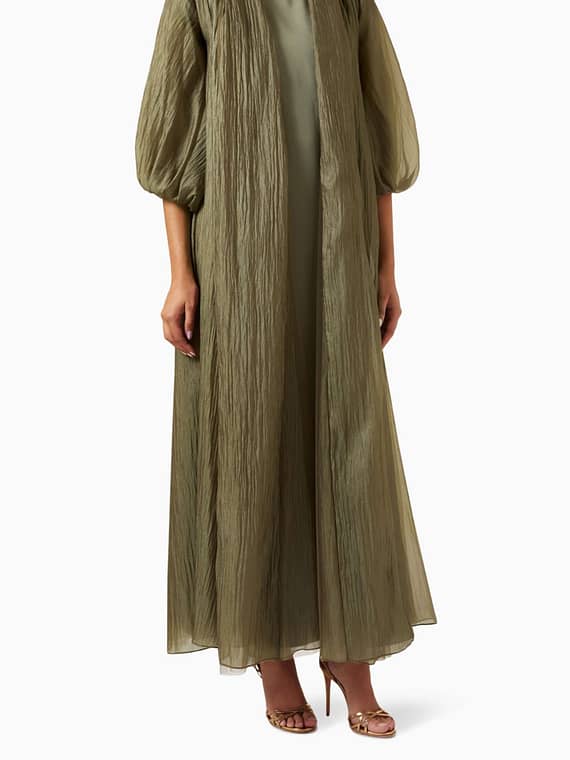 Textured Abaya in Organza-